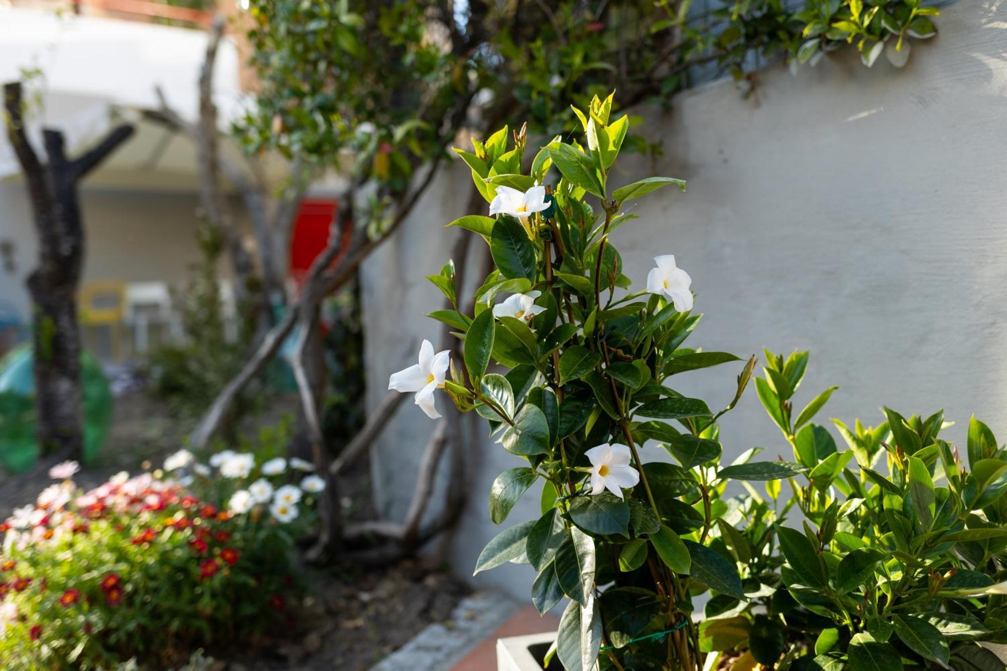 B&B Casa Gagliardi Matera Exterior photo